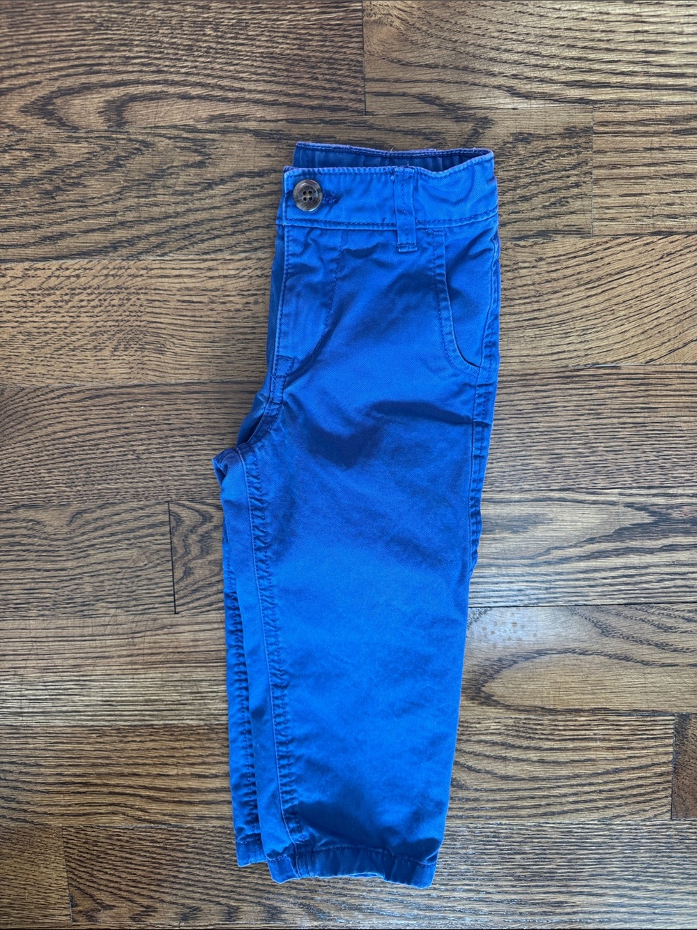 GAP Bright Blue Kids Casual Pull-On Pants